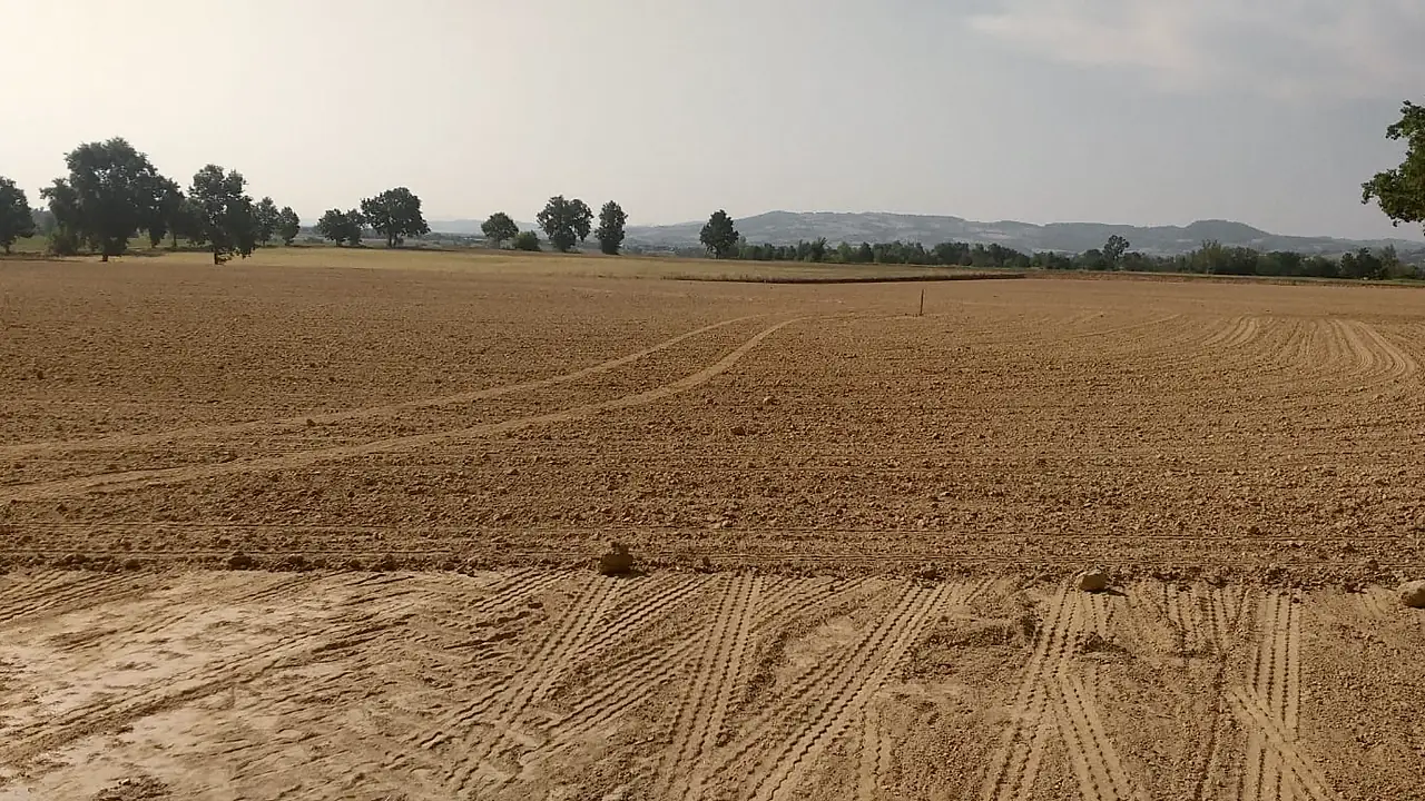 Terreno agricolo livellato con controllo laser, superficie a pendenza costante