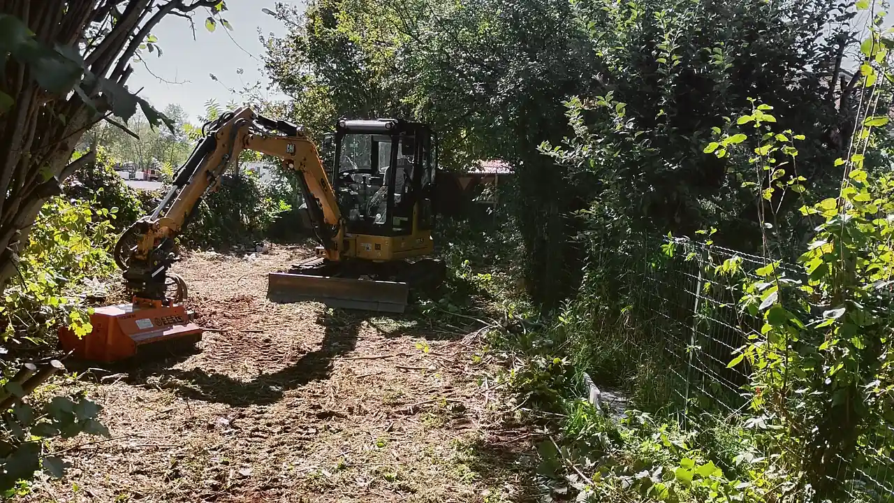 Trincia forestale montata su miniescavatore durante il recupero di un terreno incolto invaso dalla vegetazione