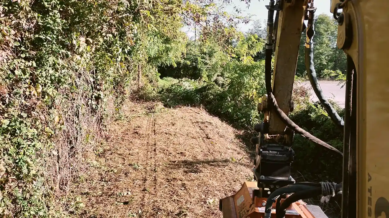 Trincia forestale Berti montata su miniescavatore Caterpillar durante la pulizia della sponda di un fosso